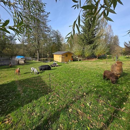 Apartament Farma U Lesa Hlinsko Zewnętrze zdjęcie