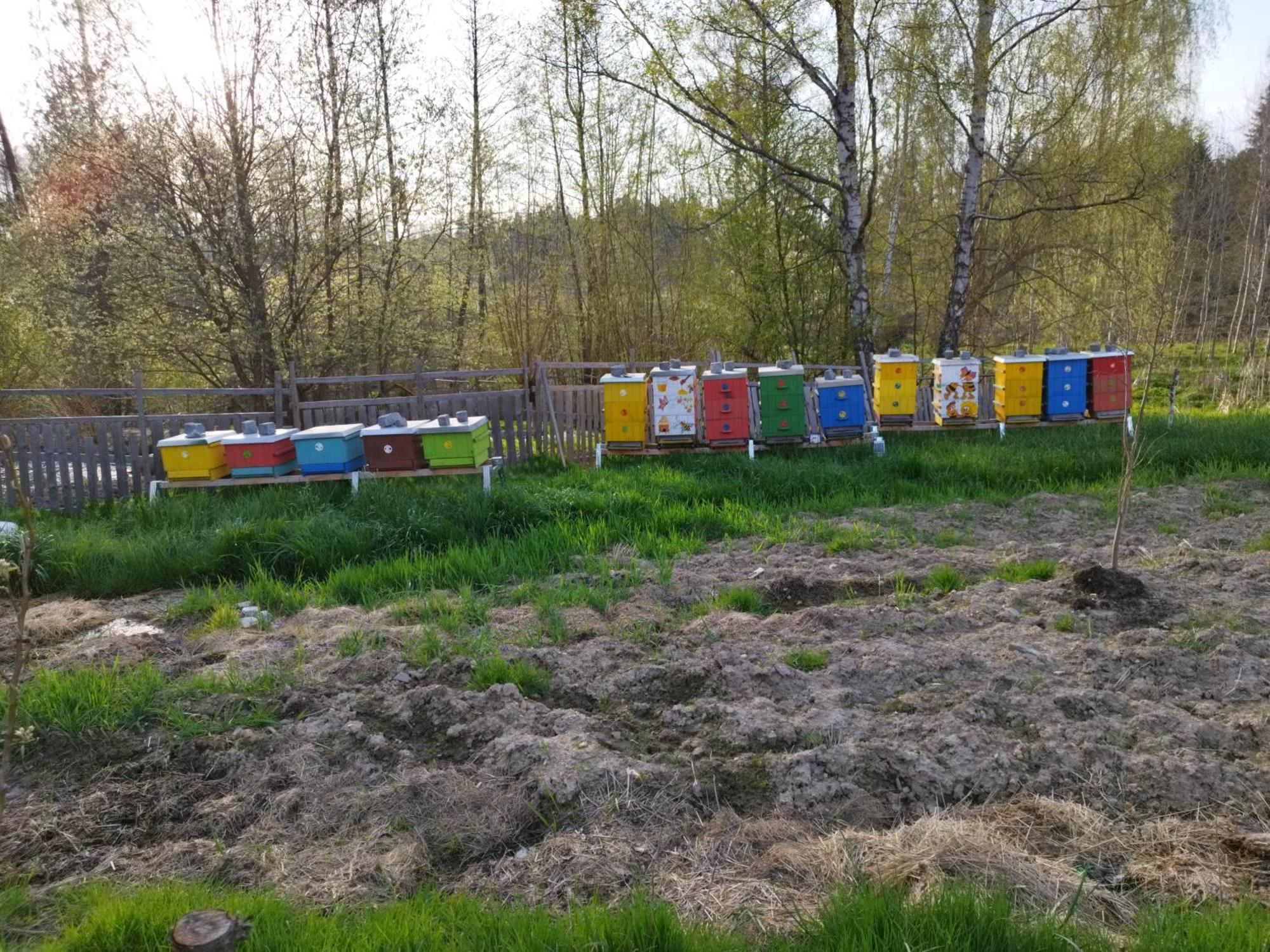 Apartament Farma U Lesa Hlinsko Zewnętrze zdjęcie