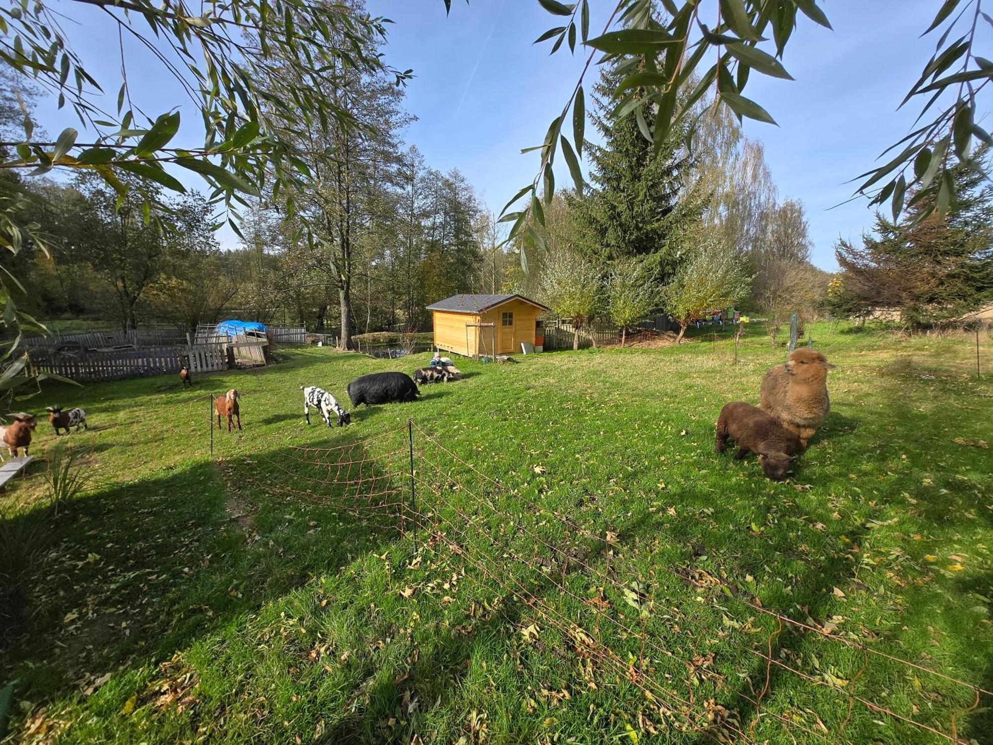 Apartament Farma U Lesa Hlinsko Zewnętrze zdjęcie